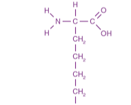 L-Lysine